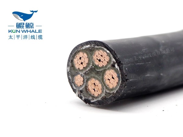低煙無(wú)鹵電纜應用在哪些場(chǎng)所你知道嗎？
