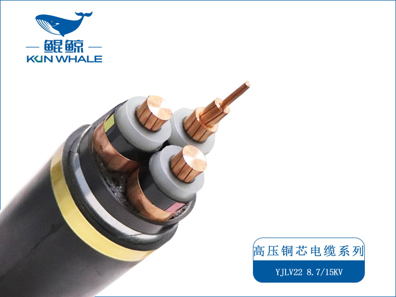 高壓電纜廠(chǎng)家
