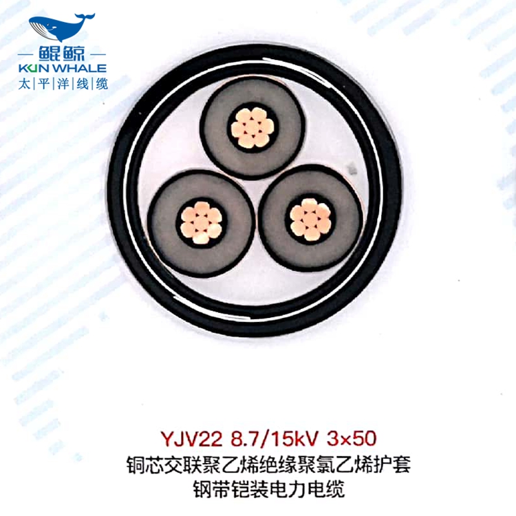 鄭州電纜廠(chǎng)高低壓電纜廠(chǎng)商淺談鎧裝電纜有哪些特點(diǎn)？鎧裝電纜型號