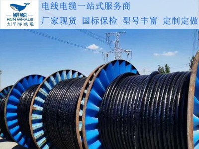 鄭州電纜廠(chǎng)淺談電纜著(zhù)火怎么辦呢？撲救辦法在這里